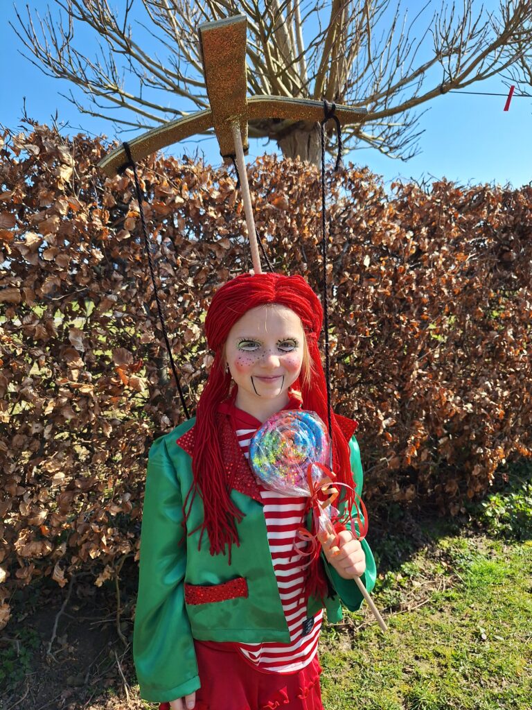 carnaval ninove carnaval aalstaccesoires carnaval kostuum carnaval